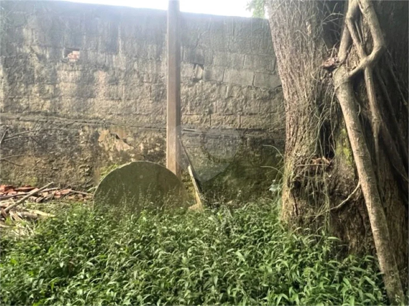 Vendo Terreno de 290m2 rua do Horto para sua casa ou investimento