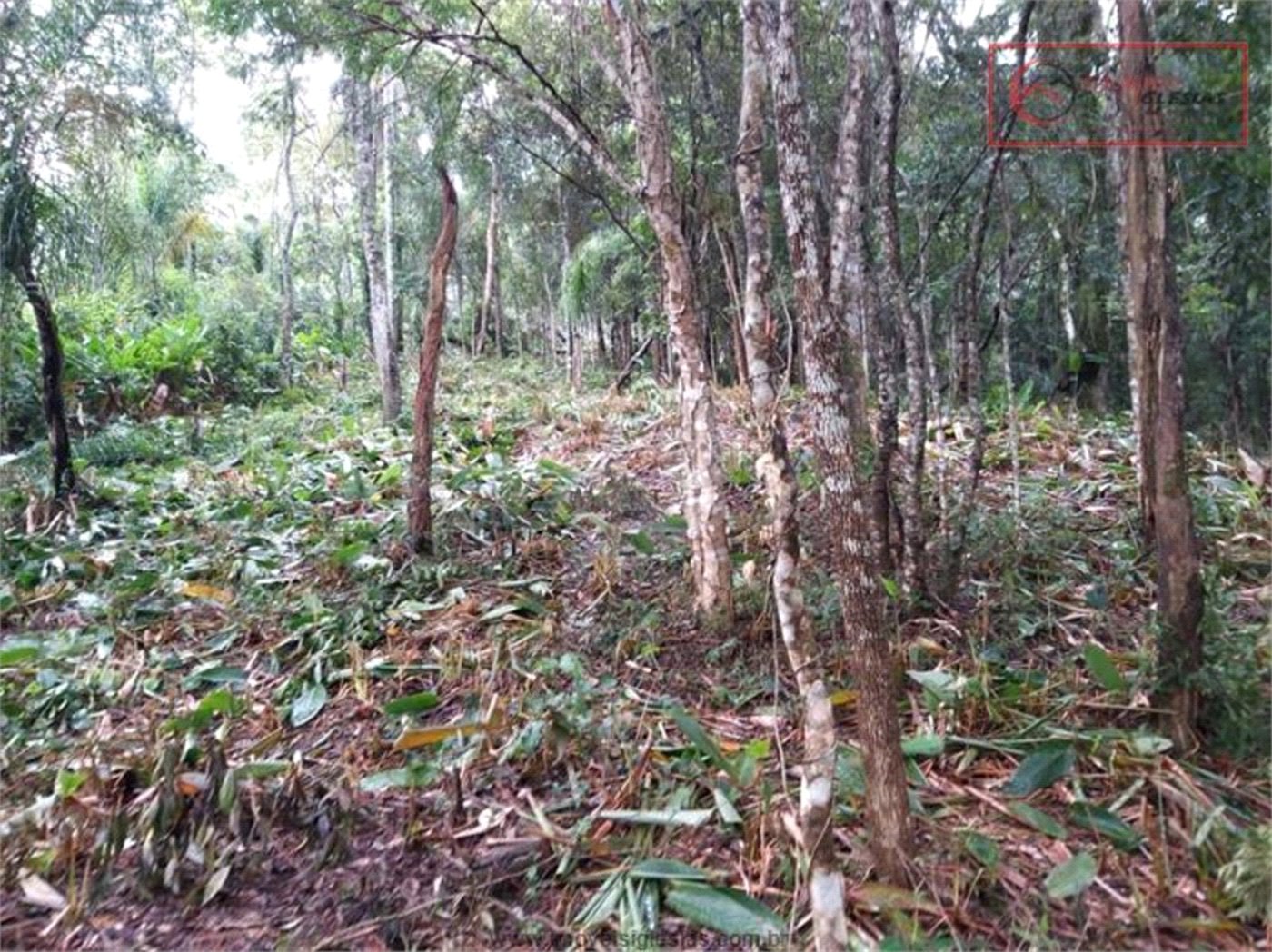 Terreno à venda em Serra da Cantareira, Mairiporã, SP