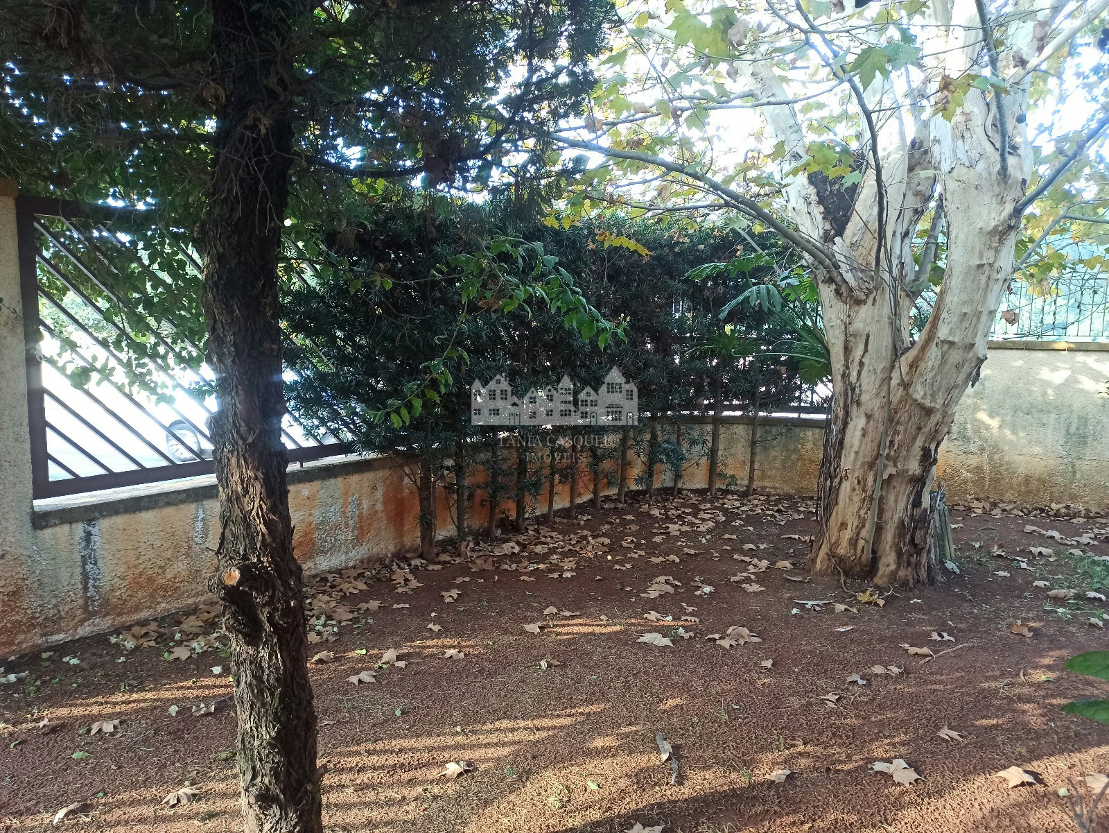 Casa, 3 quartos, 285 m² - Foto 5