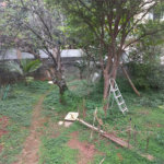 Terreno à venda em Santana, São Paulo, SP