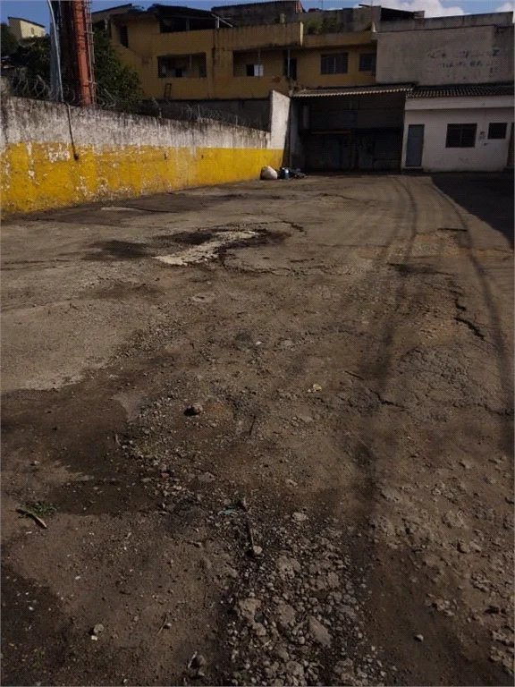 Terreno para alugar em Jardim Ivana, São Paulo, SP