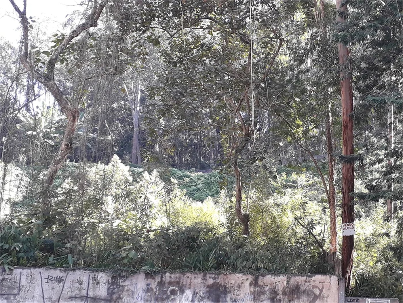 Terreno à venda em Vila Andrade, São Paulo, SP