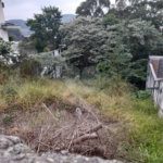 Terreno à venda em Tremembé, São Paulo, SP