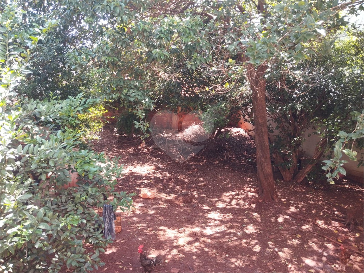 Casa à venda com 3 quartos em Jardim Santa Lúcia, Araraquara, SP