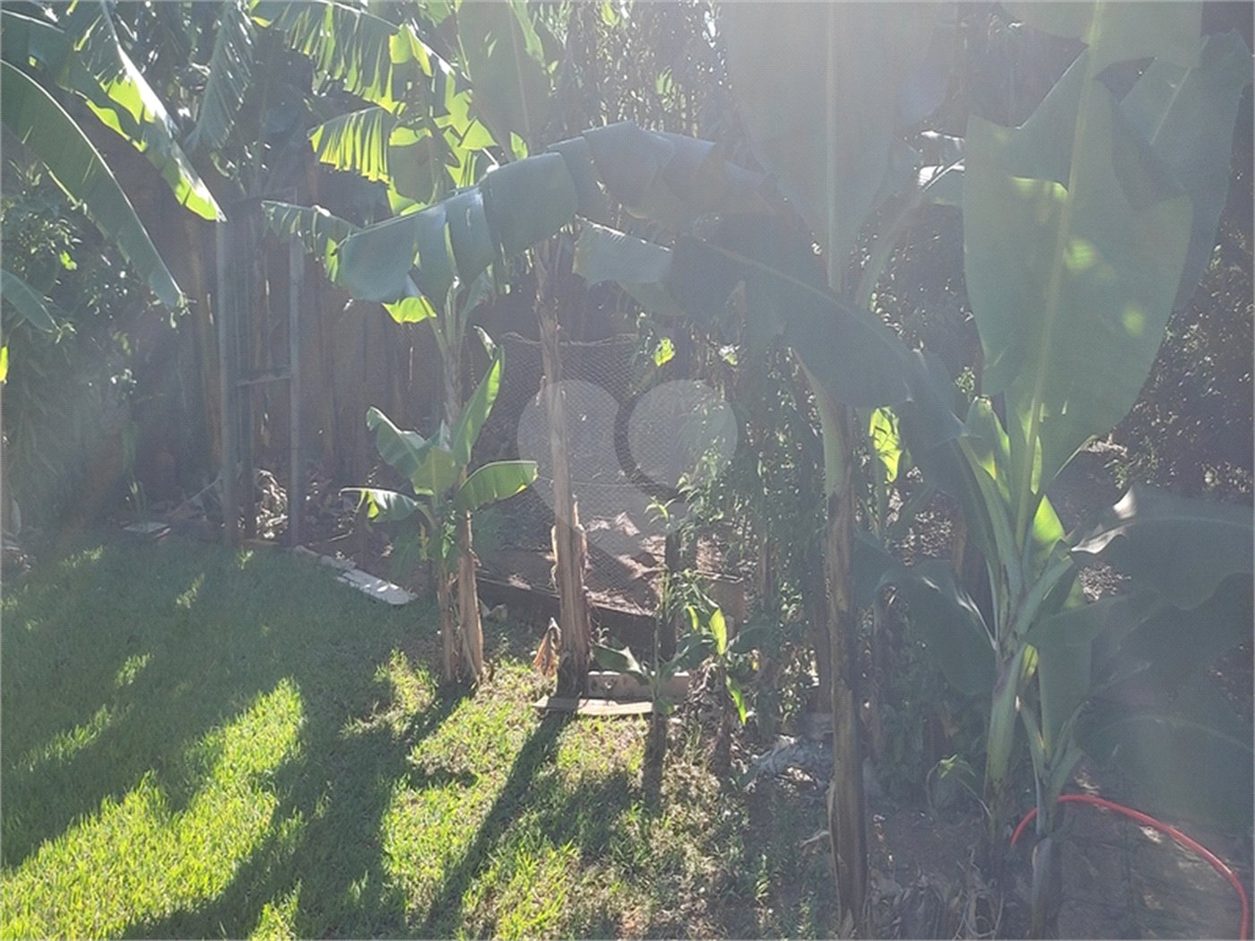 Chácara à venda com 3 quartos, sendo 1 suíte, em Parque das Bandeiras, Indaiatuba, SP