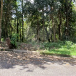 Terreno à venda em Serra da Cantareira, Mairiporã, SP
