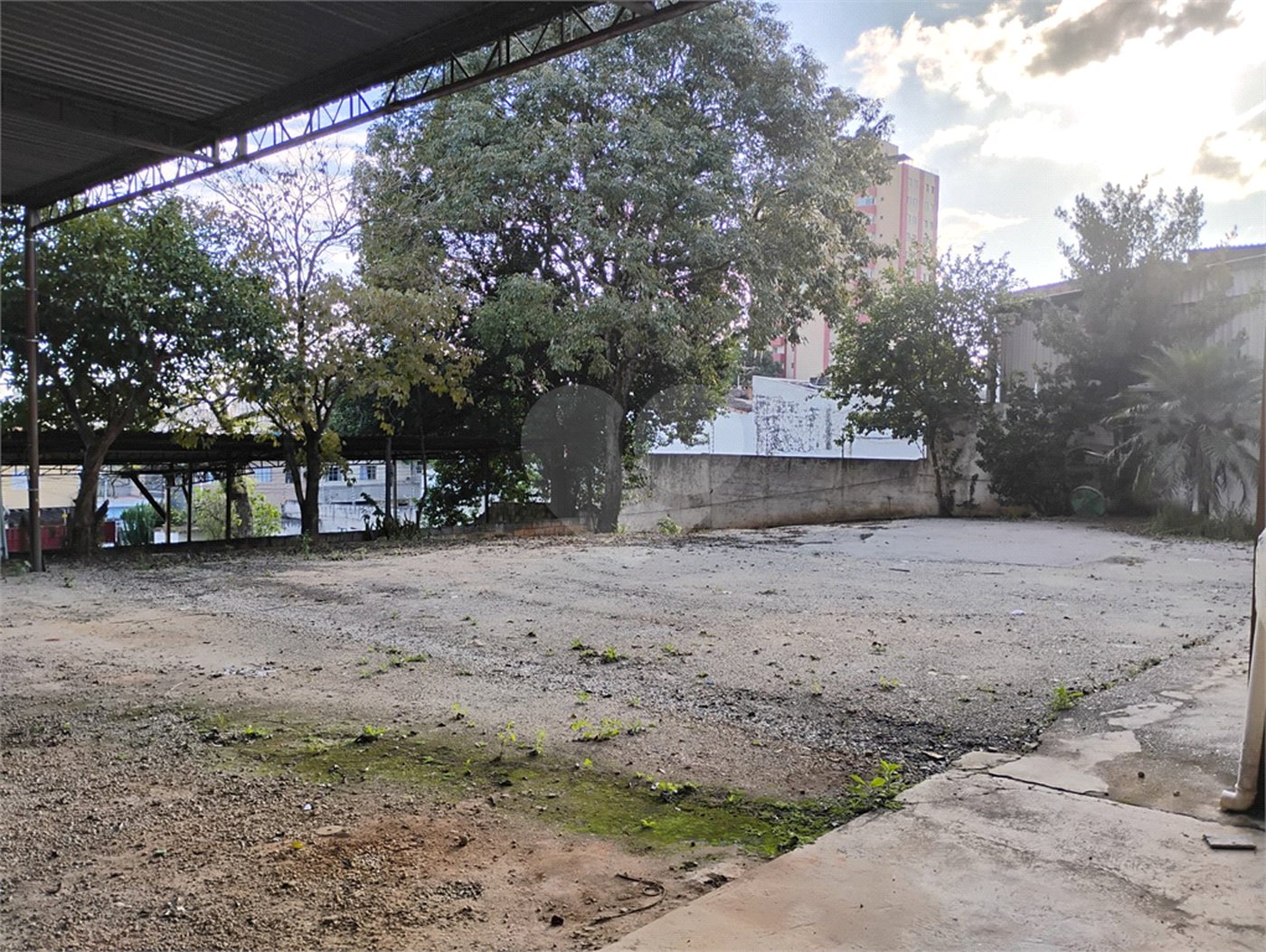 Terreno para alugar em Vila Santa Catarina, São Paulo, SP