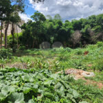 Terreno à venda em Jardim do Carmo, Araraquara, SP