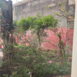 Casa à venda com 3 quartos em Mandaqui, São Paulo, SP