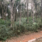Terreno à venda no condomínio Alpes da Cantareira, Mairiporã - SP