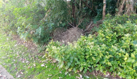 Terreno à venda no condomínio Sausalito, Mairiporã - SP