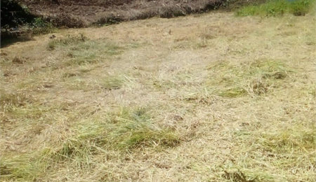 Terreno à venda em Vila Santista, Atibaia, SP