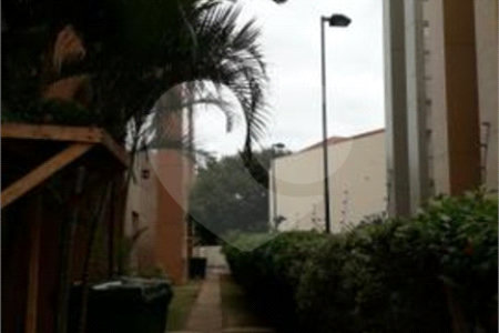 Apartamento à venda com 3 quartos, sendo 1 suíte, em Cambuci, São Paulo, SP