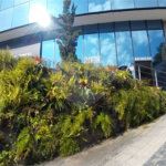 Sala para alugar em Parada Inglesa, São Paulo, SP