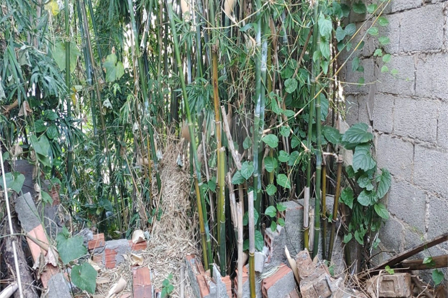 Terreno à venda em Freguesia do Ó, São Paulo, SP