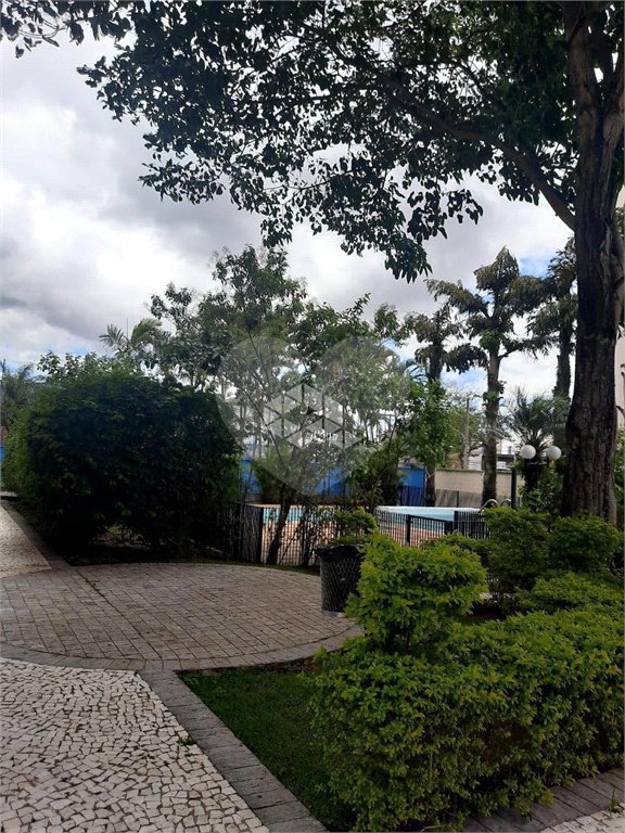Apartamento à venda com 3 quartos em Vila Matilde, São Paulo, SP