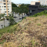 Terreno à venda em Vila Nova Socorro, Mogi das Cruzes, SP