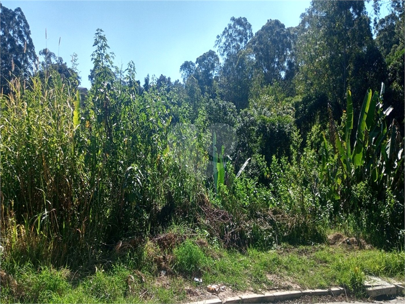 Terreno à venda em Serra da Cantareira, Mairiporã, SP