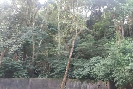 Terreno à venda em Tucuruvi, São Paulo, SP