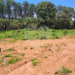 Terreno à venda no condomínio Estäncia Parque de Atibaia, Atibaia - SP
