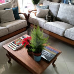 Apartamento à venda com 3 quartos, sendo 1 suíte,  em Mandaqui, São Paulo, SP