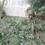 Terreno à venda em Serra da Cantareira, São Paulo, SP