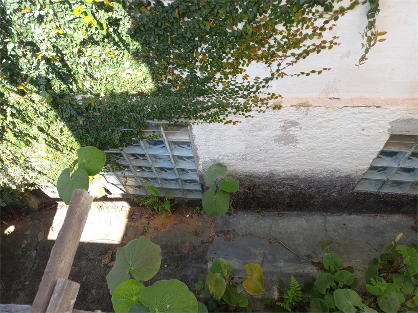 Terreno à venda em Vila Albertina, São Paulo, SP