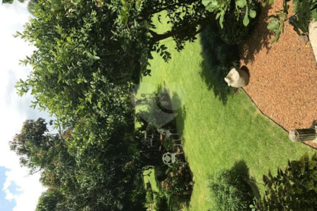Sobrado à venda com 7 quartos, sendo 1 suíte,  em Real Parque, São Paulo, SP