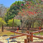 Casa à venda com 3 quartos, sendo 1 suíte,  no condomínio Jardim Reserva Bom Viver de Indaiatuba, Indaiatuba - SP