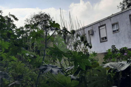Terreno à venda em Chácara Monte Alegre, São Paulo, SP