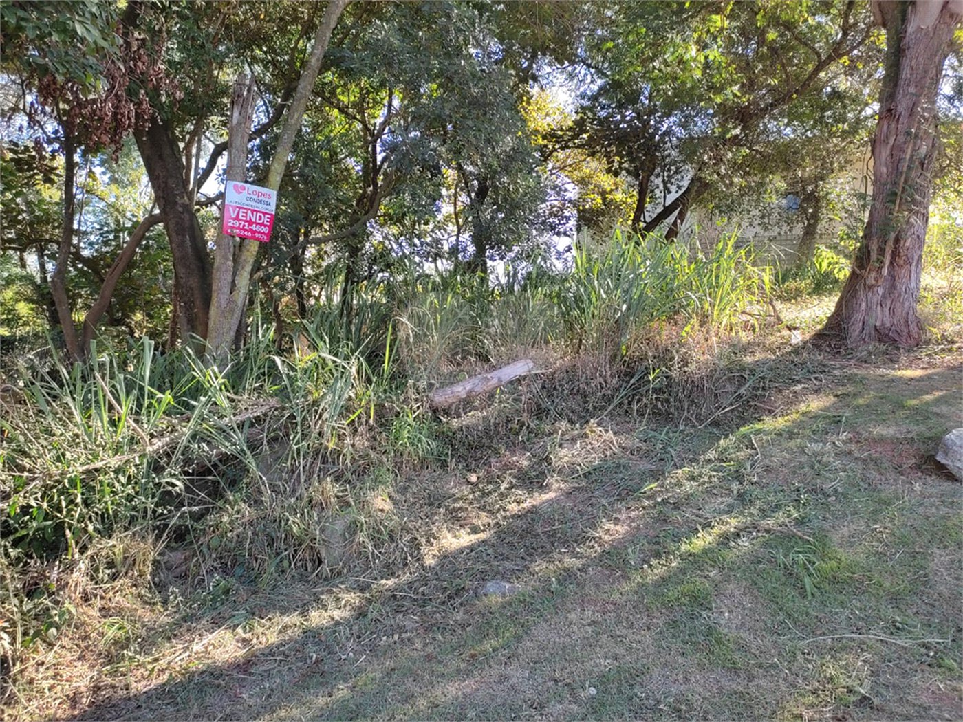Terreno à venda em Tucuruvi, São Paulo, SP