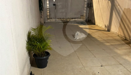 Sobrado à venda com 3 quartos, sendo 1 suíte, em Parque Ipê, São Paulo, SP