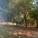 Casa à venda com 4 quartos, sendo 3 suítes, no condomínio Jardim Reserva Bom Viver de Indaiatuba, Indaiatuba - SP