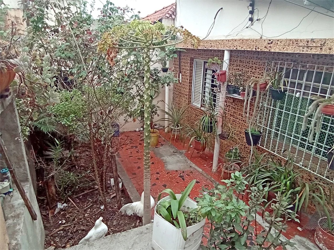 Casa Térrea à venda com 2 quartos em Vila Graziela, São Paulo, SP