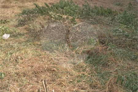 Terreno em Atibaia com 990 metros, pronto para construir, topografia declive, aceita financiamento