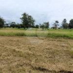 Loteamento Residencial no Condomínio Vila Pinhal do Broa.