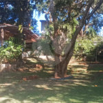 Chácara à venda com 5 quartos, sendo 3 suítes, em Parque Residencial Atibaia, Atibaia, SP