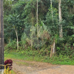 Terreno à venda em Pavão (canguera), São Roque, SP