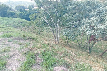 Terreno à venda em Observatório, Vinhedo, SP