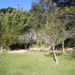 Terreno à venda em Vila Darcy Penteado (mailasqui), São Roque, SP