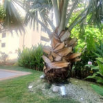 Apartamento porteira fechada com vista para o mar e lazer completo em Pitangueiras – Guarujá