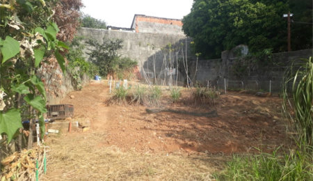 Terreno à venda em Água Fria, São Paulo, SP