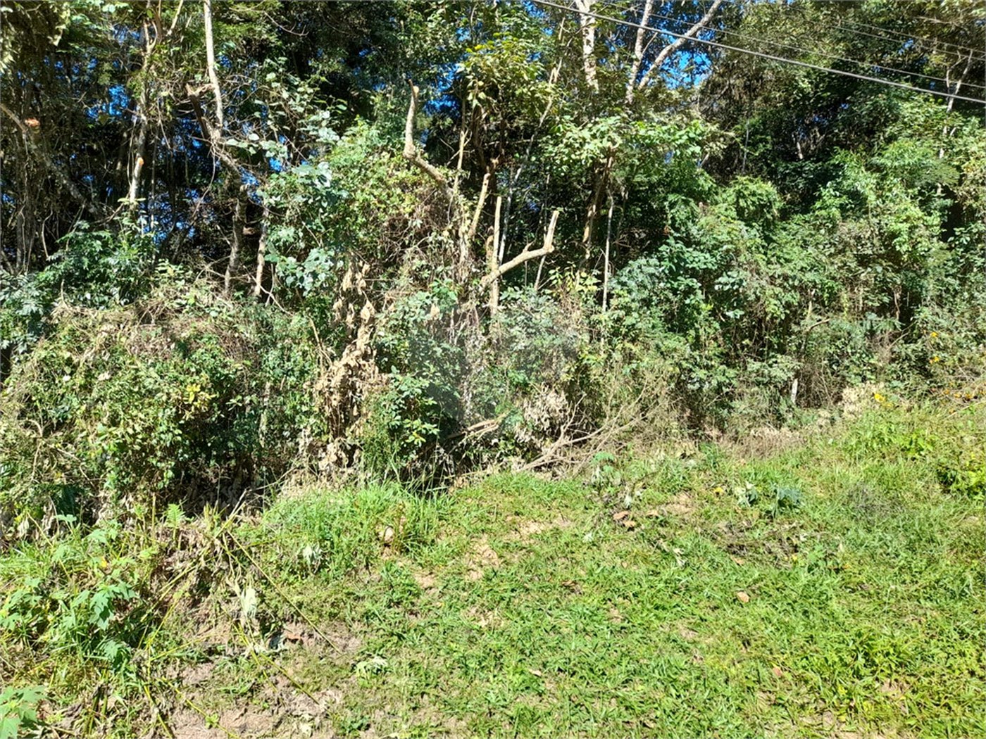 Terreno à venda em Roseira, Mairiporã, SP