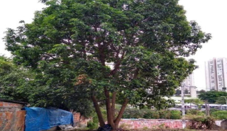 Terreno à venda em Jardim Cambara, São Paulo, SP