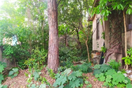 Terreno à venda com 5 quartos em Vila Medeiros, São Paulo, SP