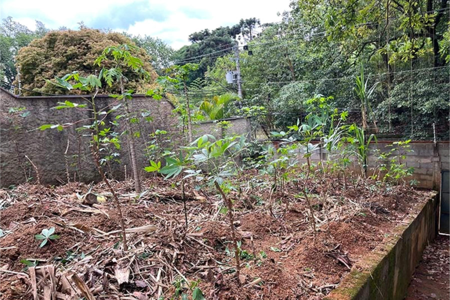 Terreno à venda em Santana, São Paulo, SP