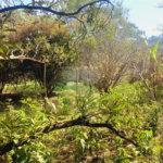 Terreno à venda em Luiz Fagundes, Mairiporã, SP