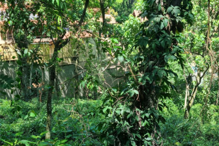 Terreno à venda no condomínio Horto do Ypê, São Paulo - SP