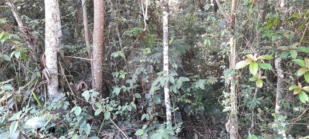 Terreno à venda no condomínio Alpes da Cantareira, Mairiporã - SP