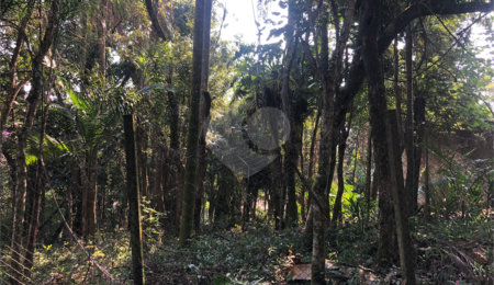 Terreno à venda em Roseira, Mairiporã, SP